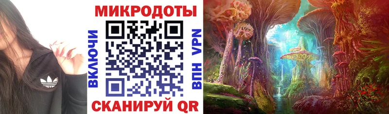 Псилоцибиновые грибы мухоморы Бавлы